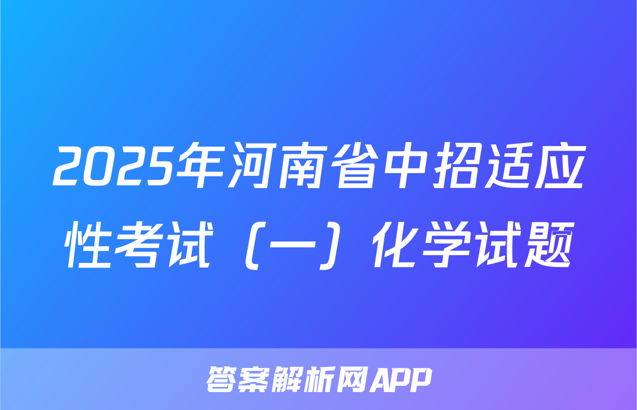 2025年河南省中招适应性考试（一）化学试题