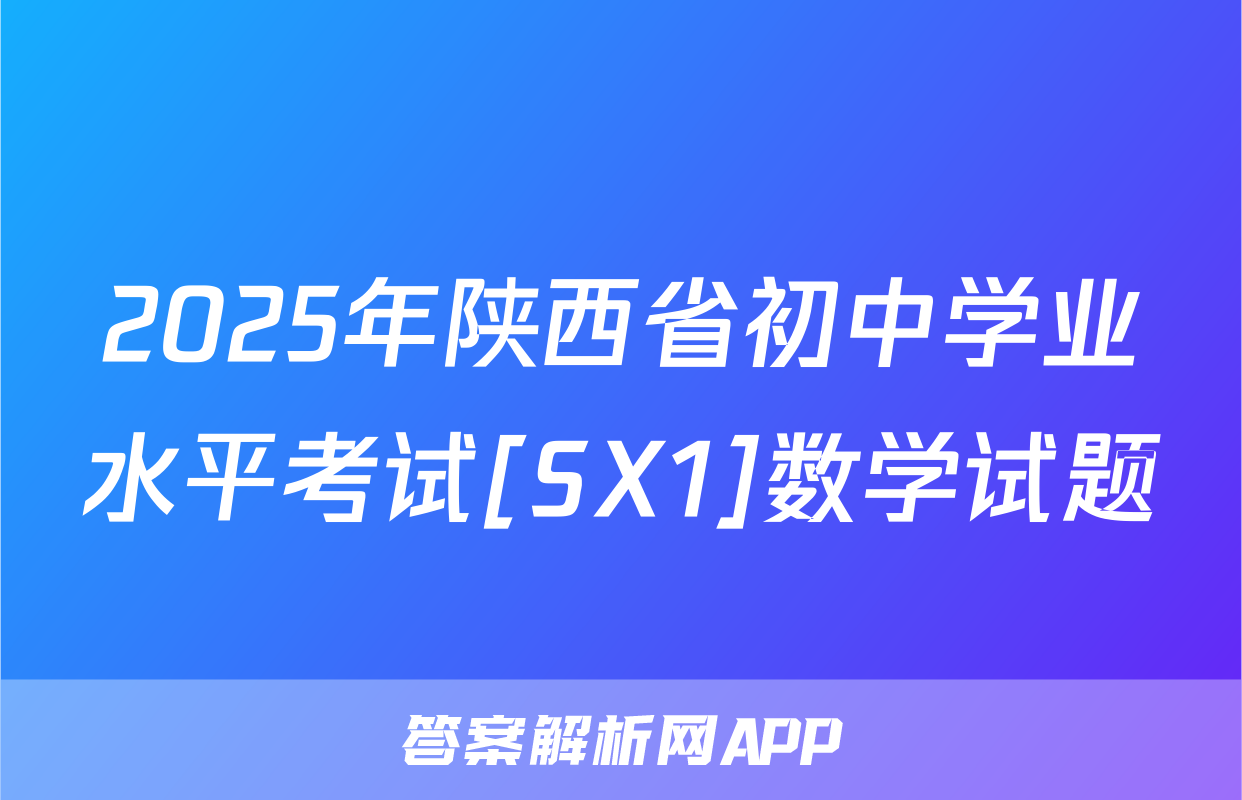 2025年陕西省初中学业水平考试[SX1]数学试题