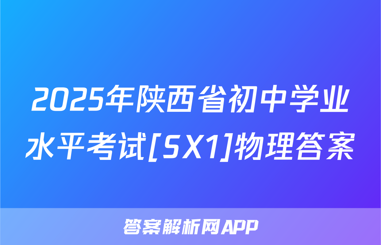 2025年陕西省初中学业水平考试[SX1]物理答案