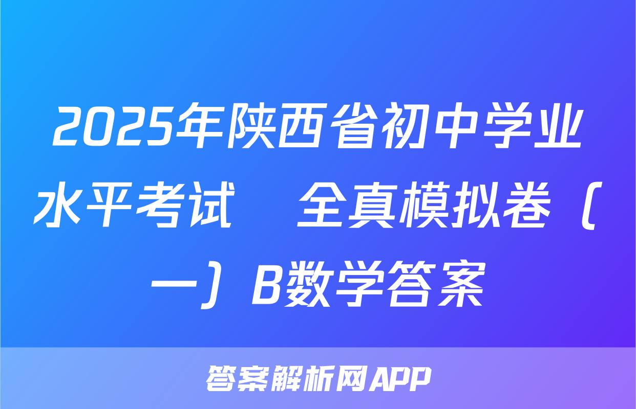 2025年陕西省初中学业水平考试•全真模拟卷（一）B数学答案